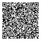 QR код "Dengi63.ru"