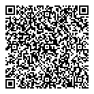 QR код "Близнецы"