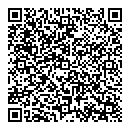 QR код "Блик"
