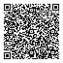 QR код "Мир-4"