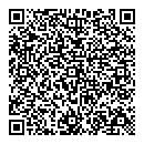 QR код "Элекснет"