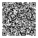 QR код "QIWI"
