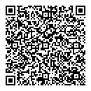QR код "Спутник"