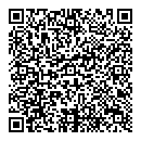 QR код "Земной шар"
