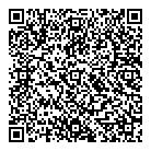 QR код "Близнецы"
