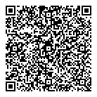 QR код "Созвездие"