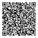 QR код "Домино"