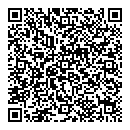 QR код "Нефертити"