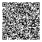 QR код "Профессионал"
