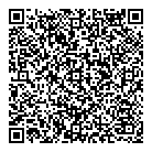 QR код "Планета игрушек"