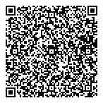 QR код "Божья коровка"