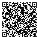 QR код "Вулкан"