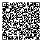 QR код "IPVIDEO63"