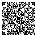 QR код "Блик"