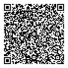 QR код "Аэлита"