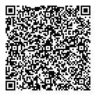 QR код "Созвездие"