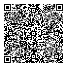 QR код "Лион"