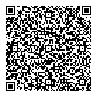 QR код "Новый мир"