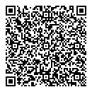 QR код "Феникс"