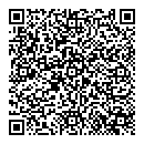 QR код "Блеск"