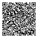 QR код "Сова"
