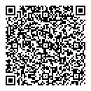 QR код "Алиса"