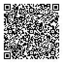 QR код "Спутник"