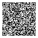 QR код "63 регион"