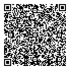 QR код "ДВ Групп"