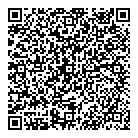 QR код "Дирижабль"