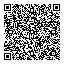 QR код "Пришелец"