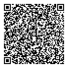 QR код "PLENKI.NET"