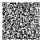 QR код "PLENKI.NET"