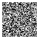 QR код "Net3G.ru"