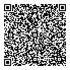 QR код "PLENKI.NET"
