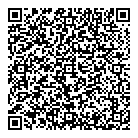 QR код "PLENKI.NET"