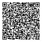 QR код "ДНС"