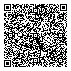 QR код "PLENKI.NET"