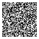 QR код "PLENKI.NET"
