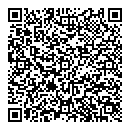 QR код "Молния"