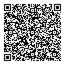 QR код "Домино"