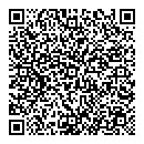 QR код "Вспышка"