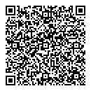 QR код "Спутник"