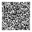 QR код "Блеск"
