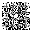QR код "Эльза"
