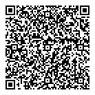 QR код "Профессионал"