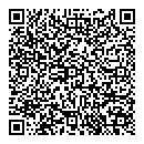 QR код "Demi Style"