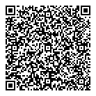 QR код "Шайба"