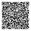 QR код "Мегаполис"