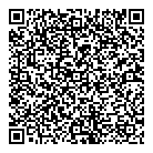 QR код "Профессионал аудит"